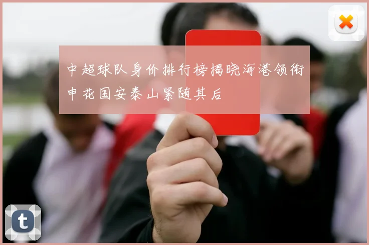 中超球队身价排行榜揭晓海港领衔申花国安泰山紧随其后