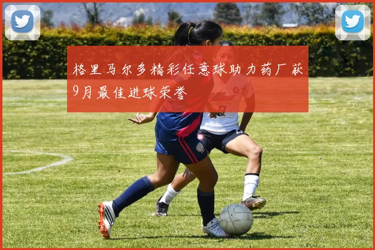 格里马尔多精彩任意球助力药厂获9月最佳进球荣誉